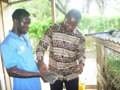 Each beneficiary household will return an agreed number