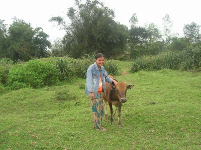 Dau Kenh Village, Women's Union cattle project
