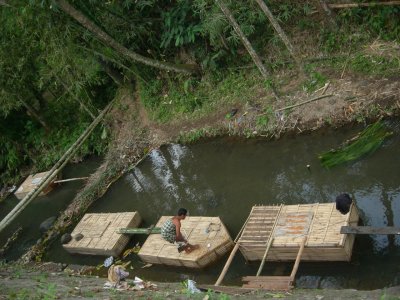 Fish Project, Lombok