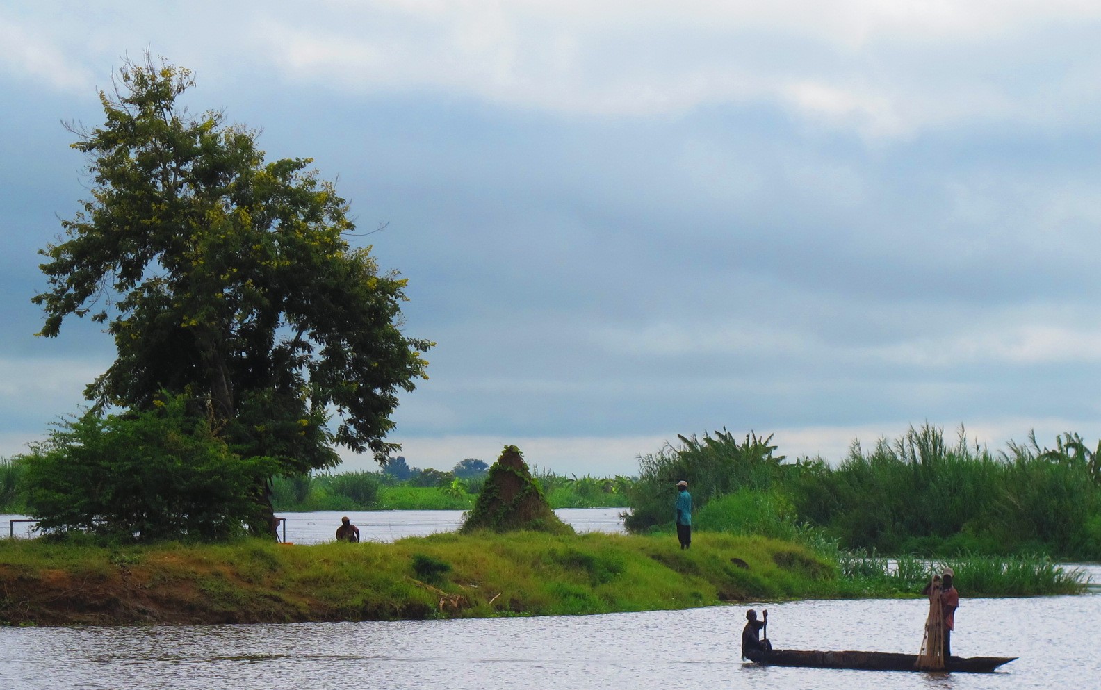Landscape